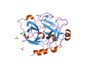 1zmj: Crystal Structure of the Catalytic Domain of Factor XI in complex with 4-(guanidinomethyl)-phenylboronic acid