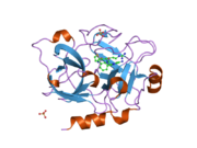 1ztk: Crystal Structure of the Catalytic Domain of Coagulation Factor XI in Complex with 2-(5-Amino-6-oxo-2-m-tolyl-6H-pyrimidin-1-yl)-N-[4-guanidino-1-(thiazole-2-carbonyl)-butyl]-acetamide