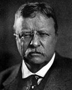 Voormalig President Theodore Roosevelt uit New York Progressieve Partij