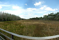 Corkscrew Swamp Sanctuary