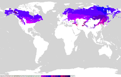 Koppen classification worldmap D