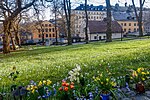 Minneslunden vid Kungsholms kyrka våren 2024.