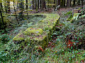 Südlicher Teil der Westmauer von der Porta Decumana aus (im Vordergrund)