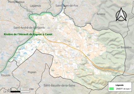 Carte de la ZNIEFF de type 1 sur la commune.