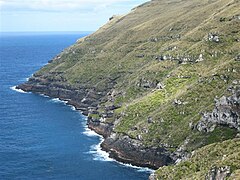 Cape Lovitt auf Auckland Island – westlichster Punkt