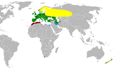 Mapa występowania