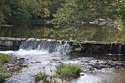 Unami Creek at Swamp Creek Road