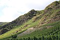 Weinberg an der Untermosel