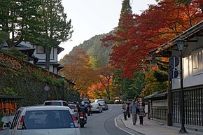 Autumn Koyasan Wakayama02s5s3200.jpg
