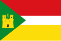 Lituénigo - Bandera