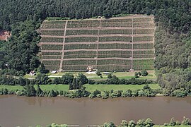 Die Weinlage Großheubacher Bischofsberg