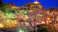千光寺公園的櫻花