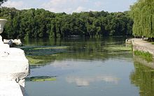 La kunfluejo de Suda Bugo (malantaŭe) kaj la rivero Ploska