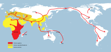 Ausbreitung des anatomisch modernen Menschen (rot) über die Erde und vorausgehende Besiedelung durch Homo erectus (gelb) und Neandertaler (ocker); die Zahlen stehen für Jahre vor heute.