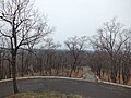 Вид с сопки Июнь-Корань на село Волочаевка-1 (плохая погода, дождь, туман)