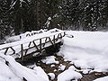 Ponte sul sentiero par la cascada del Pissandro