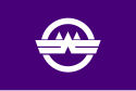 Wakō – Bandiera
