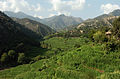 La valle di Korengal (Provincia di Kunar).