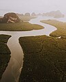 Mangrovy v Národním parku Ao Phang Nga, Thajsko