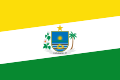 Bandeira de Luzilândia