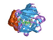 1o1v: Human Ileal Lipid-Binding Protein (ILBP) in Complex with Cholyltaurine