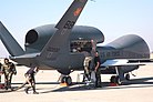 Die Drohne Global Hawk ersetzt als hochfliegendes Langstrecken-Aufklärungsflugzeug die letzten Versionen der U-2. Die NATO hat sich zur Gefechtsfeldaufklärung und -überwachung für dieses System entschieden. In Deutschland hat sich die Euro Hawk Variante dieser Drohne zum Bodeneffektmobil entwickelt ;-) KW 33 (ab 11. August 2013)