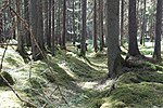 Hålväg från Lödösevägen i naturreservatet Slereboåns dalgång nära byn Röserna i Risveden.