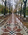 ruelle devant la gare