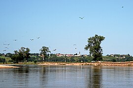 The Loire at Avrilly