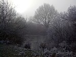 Natuurgebied De Baggerputten