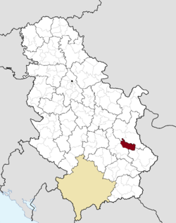 Location of the municipality of Svrljig within Serbia