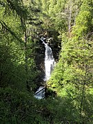 Falls of Moness at the Birks of Aberfeldy