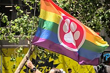 Furries have their own flag, which usually has the pride flag too.