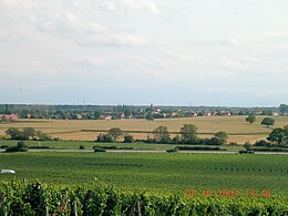 Gundolsheim – Veduta