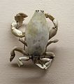 Lyreidus tridentatus, another crab