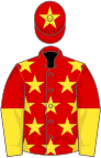 Red, yellow stars, halved sleeves and star on cap