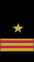 нарукавный знак ВМФ