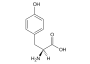 Tyrosin (Tyr, Y)