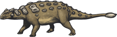 Ankylosaurus