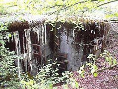 Blockhaus dans la forêt de Coume.