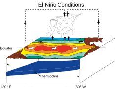 El-Niño-Phase. Das Absinken der Thermoklinen bewirkt eine Erwärmung des Oberflächenwassers vor der Küste Südamerikas in Form einer sogenannten Warmwasserzunge.