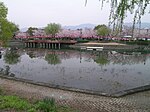 鴨島公園 全景