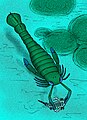 Pterygotus um escorpião-marinho
