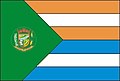 Bandeira de Aparecida do Rio Doce