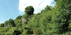 Photographie en couleurs d'escarpements recouverts de végétation.