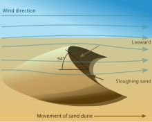 diagram showing movement of sand dune in relation to wind direction