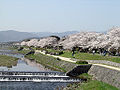 Malul râului Kamogawa în Kyoto