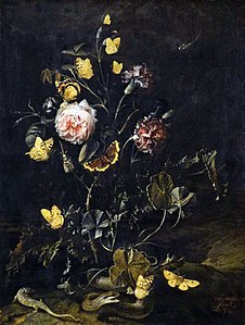 Fleurs, insectes et reptiles, 1673 Fitzwilliam Museum