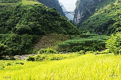 五家寨鉄道橋の遠景