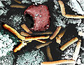 Hình ảnh từ kính hiển vi điện tử quét tăng cường màu cho thấy mô lá lách của một con khỉ bị bệnh than qua đường hô hấp; đặc trưng là trực khuẩn hình que (vàng) và hồng cầu (đỏ)